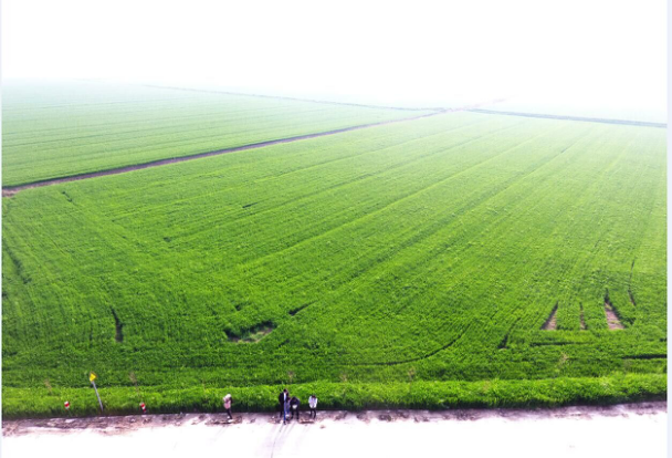 《安徽阜陽花仙谷生態樂園》項目正式啟動