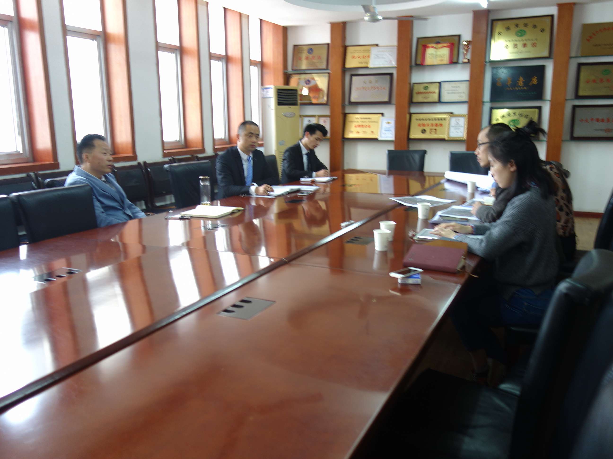 《安徽阜陽花仙谷生態樂園》項目正式啟動