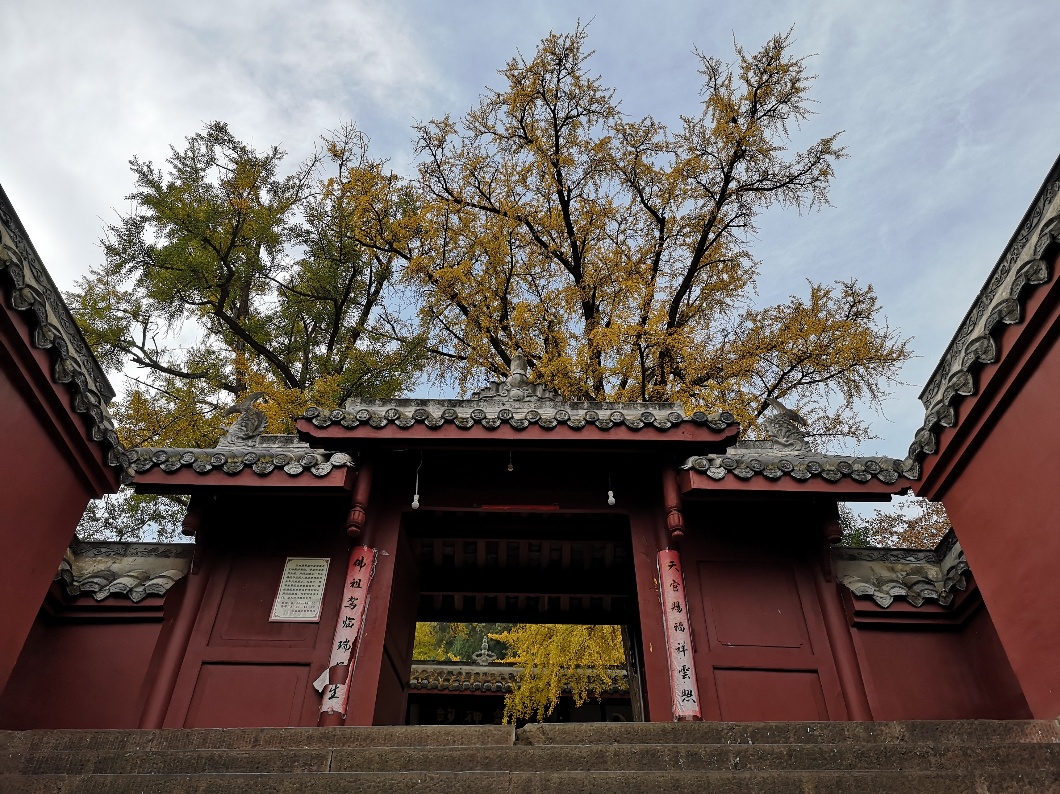 1543375326770910.jpg 456.jpg