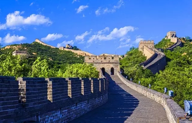 1552445959727749.jpg 640 (1).webp.jpg