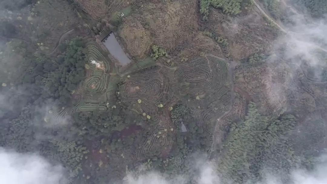 1552894304110223.jpg 茶山竹海準備出發——重慶永川4.jpg