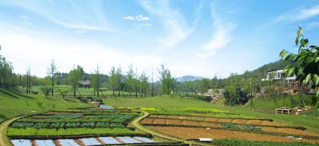 1562642491865331.jpg 1562642491865331.jpg