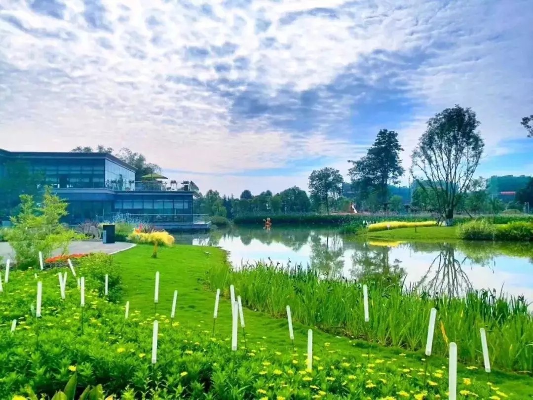 1562642681979141.jpg 1562642681979141.jpg