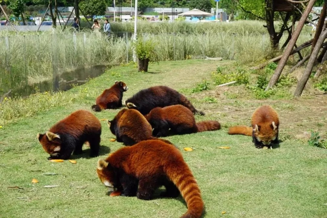 1562642744644964.jpg 1562642744644964.jpg