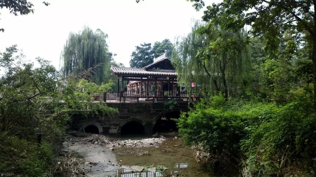 1562643768408206.jpg 1562643768408206.jpg