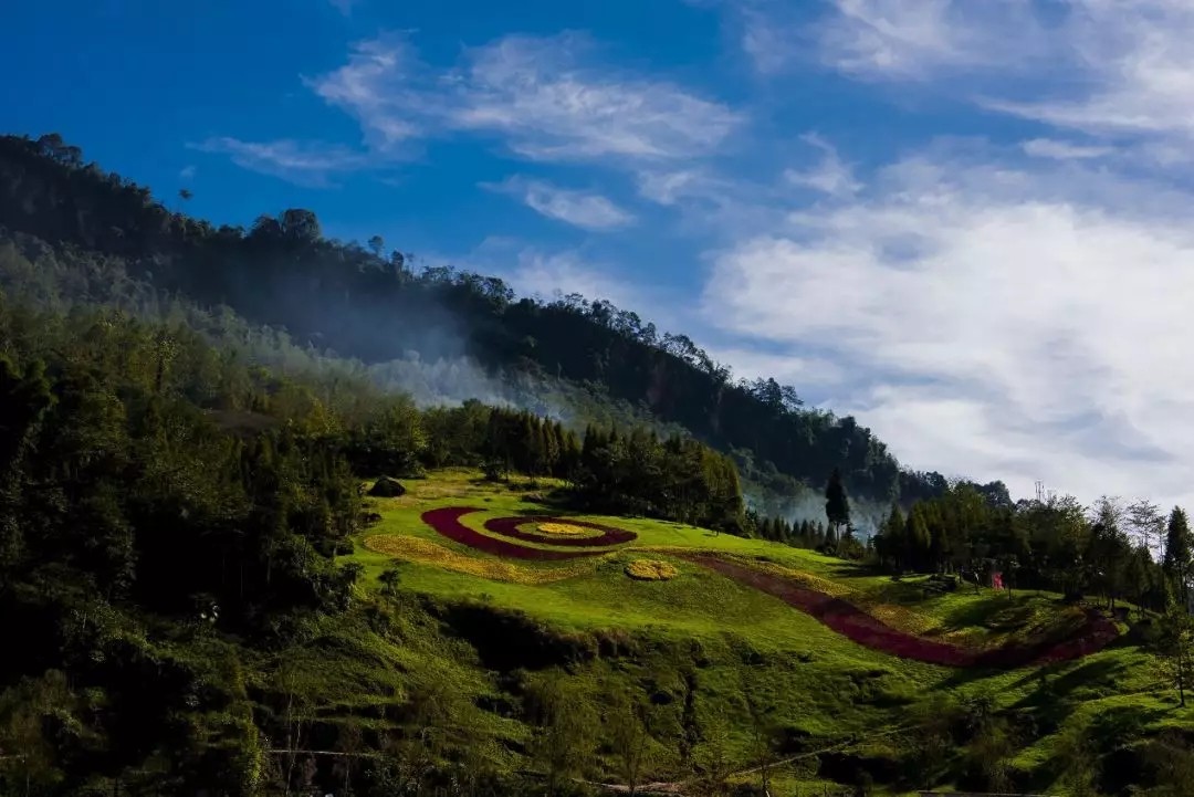 1562644120849244.jpg 1562644120849244.jpg