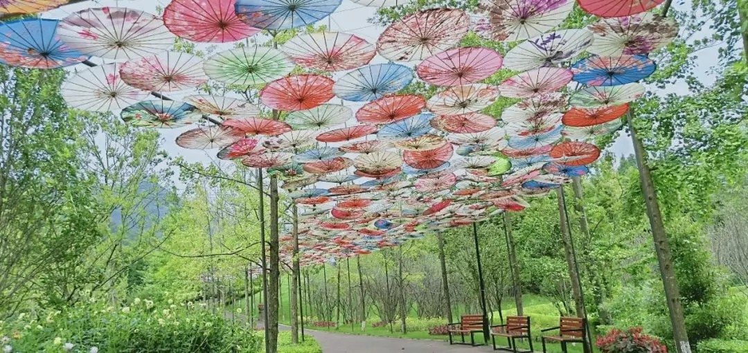 1562644207280939.jpg 1562644207280939.jpg