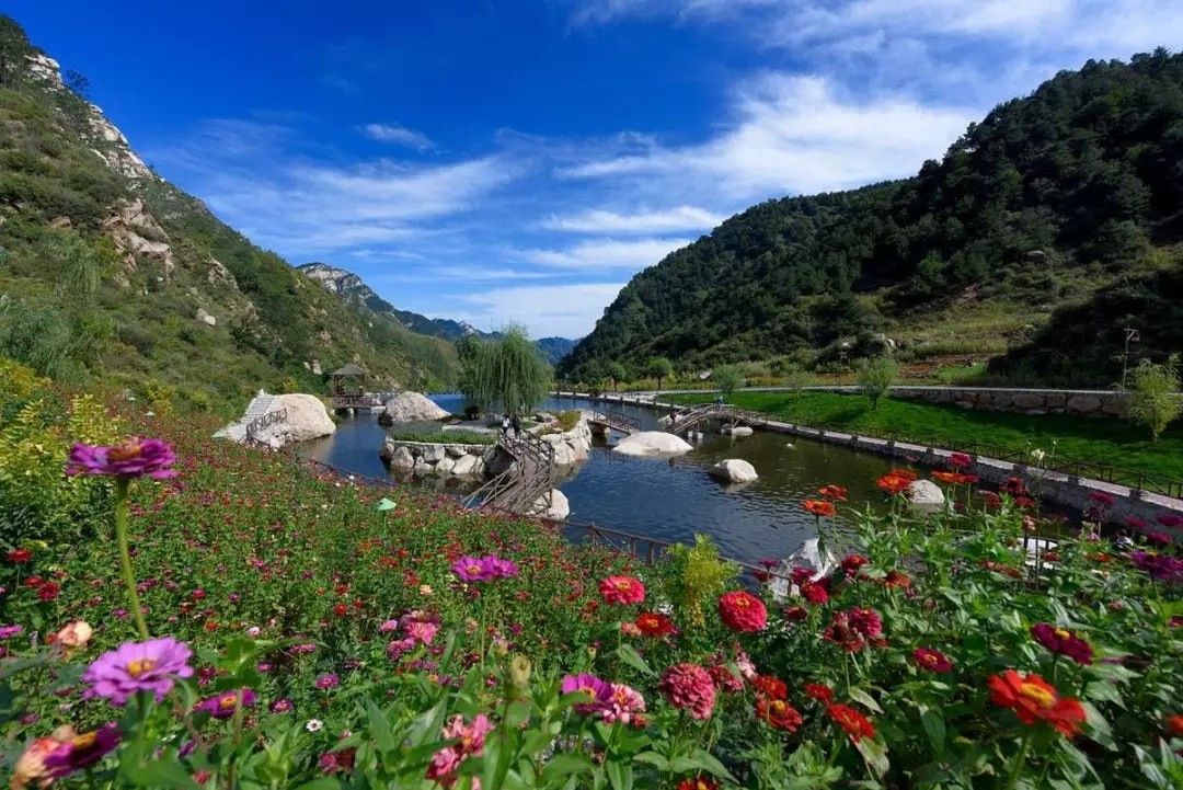 1562644207339889.jpg 1562644207339889.jpg