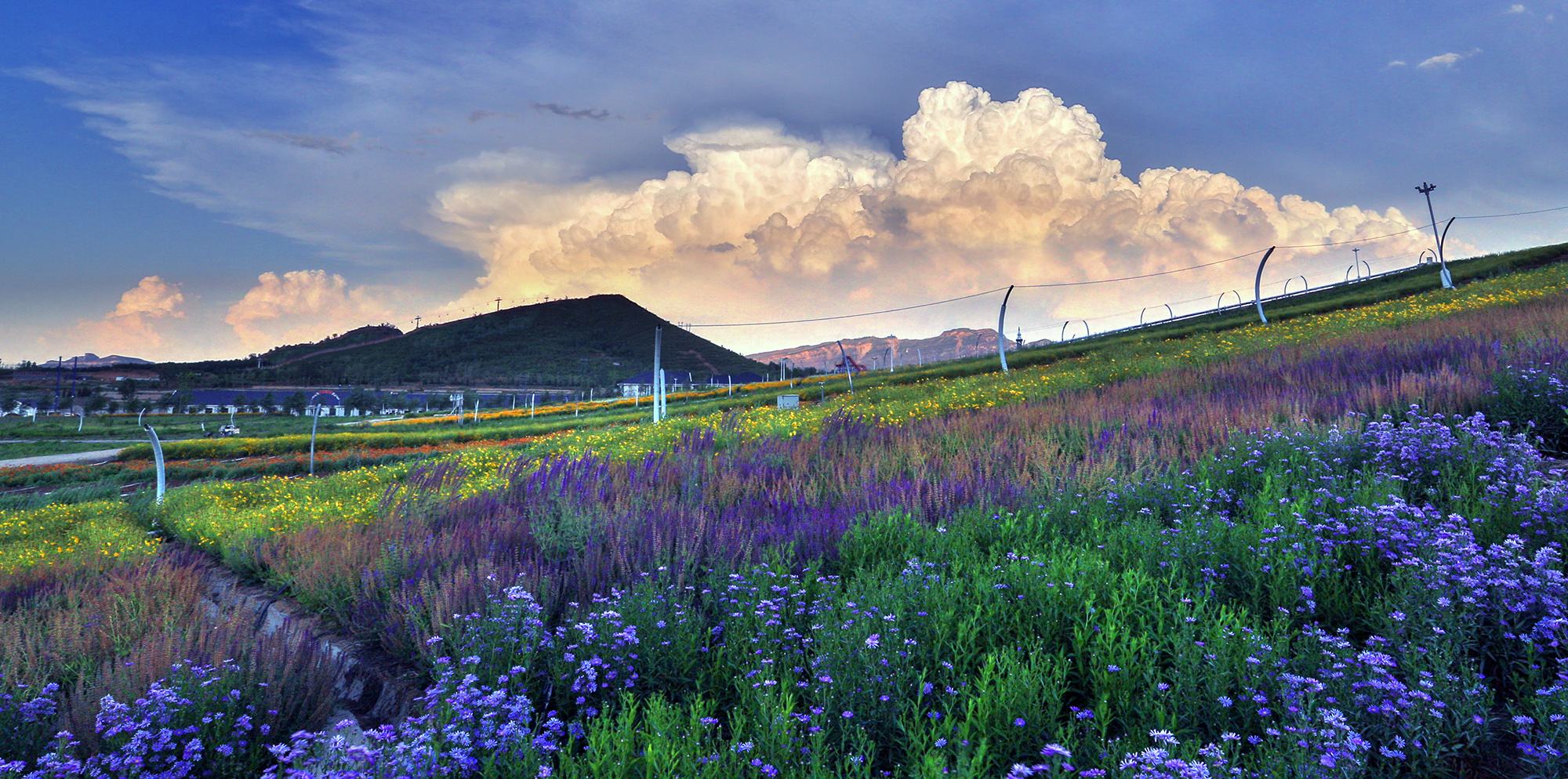 1564122647772262.jpg 1564122647772262.jpg