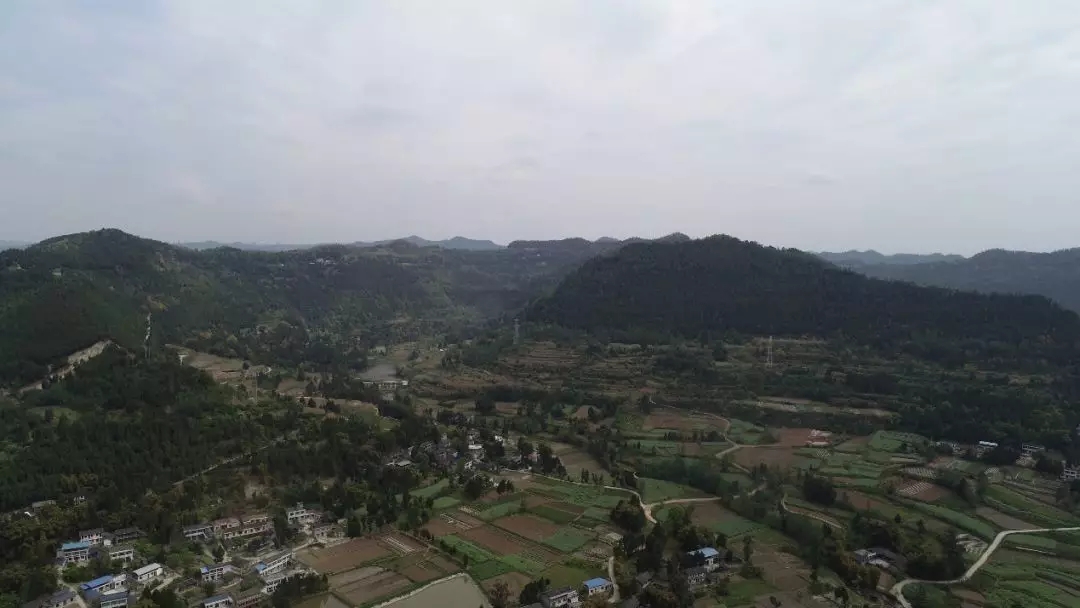 1566196280829219.jpg 1566196280829219.jpg